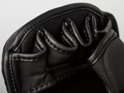 Paffen Sport MMA Handschuhe Sparring Contact Shield, Schwarz 4