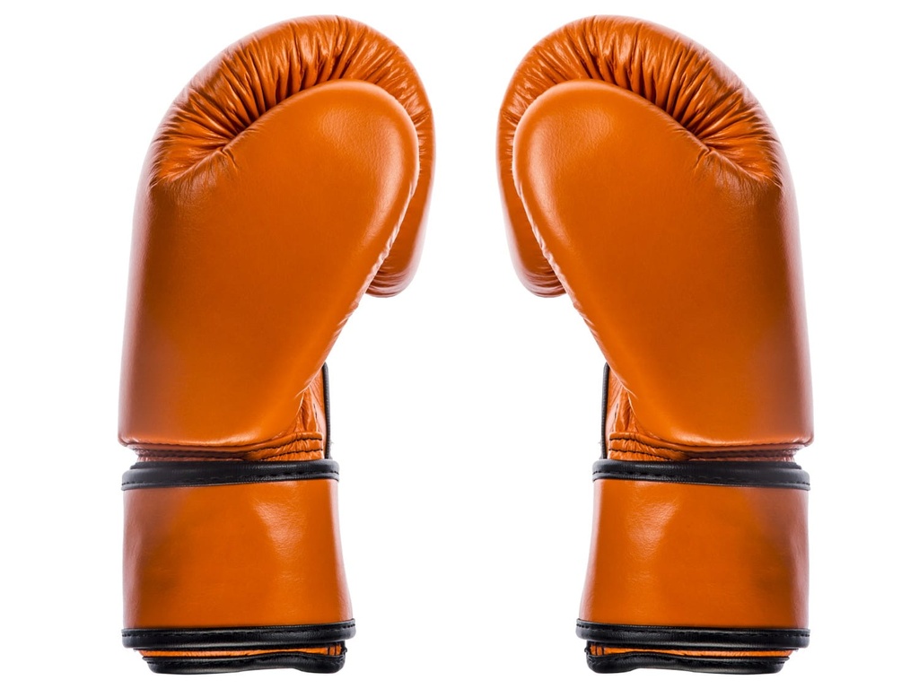 Fairtex Boxhandschuhe BGV16, Orange