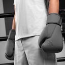 Hayabusa Boxhandschuhe T360, Grau 3