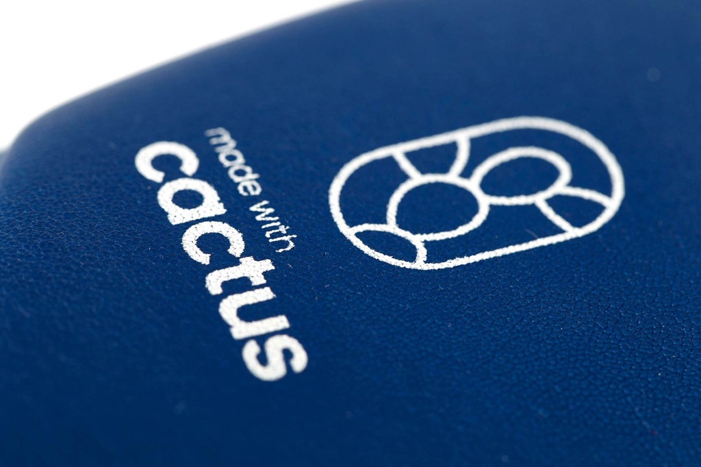 adidas Kopfschutz IBA Kaktus-Leder, Blau 4