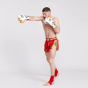 Leone Boxhandschuhe Thai Style, Weiss-Gold