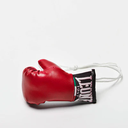 Leone Mini Boxhandschuhe, Rot