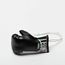 Leone Mini Boxhandschuhe, Schwarz