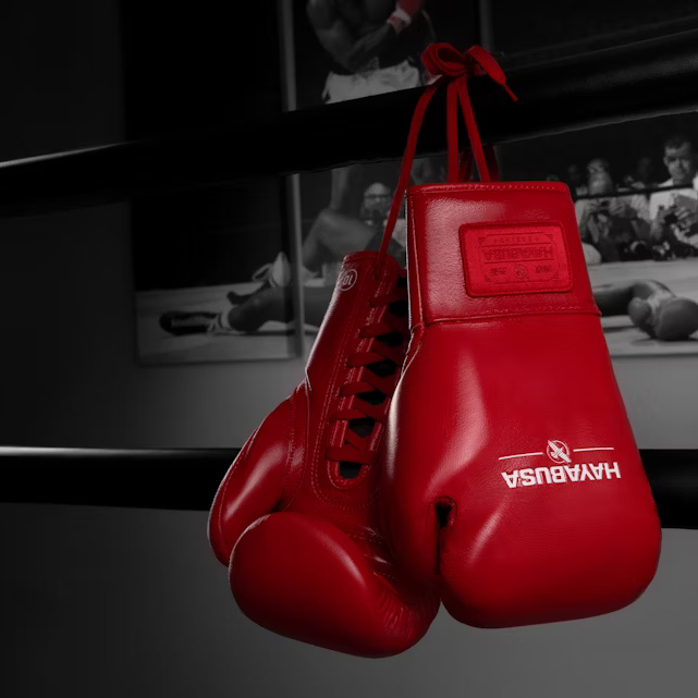 Hayabusa Boxhandschuhe Pro Fight Pferdehaar mit Schnürung, Rot