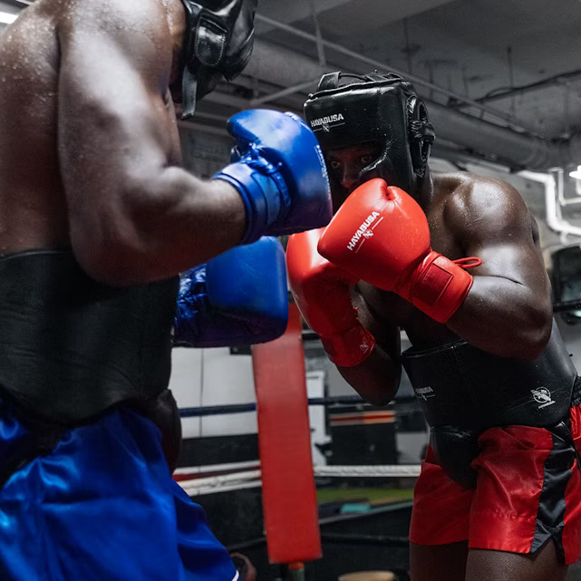 Hayabusa Boxhandschuhe Pro mit Schnürung, Rot
