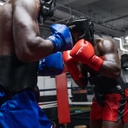 Hayabusa Boxhandschuhe Pro mit Schnürung, Rot