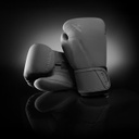 Hayabusa Boxhandschuhe T360, Grau