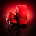 Hayabusa Boxhandschuhe T360, Rot