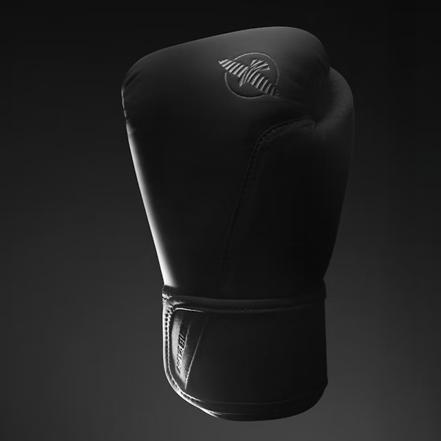 Hayabusa Boxhandschuhe T360, Schwarz