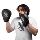 Hayabusa Boxpratzen PTS3, Schwarz