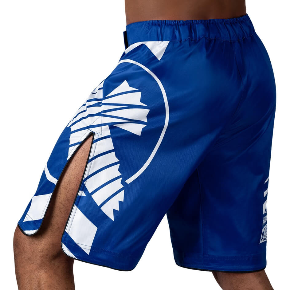 Hayabusa Fight Shorts Icon 4