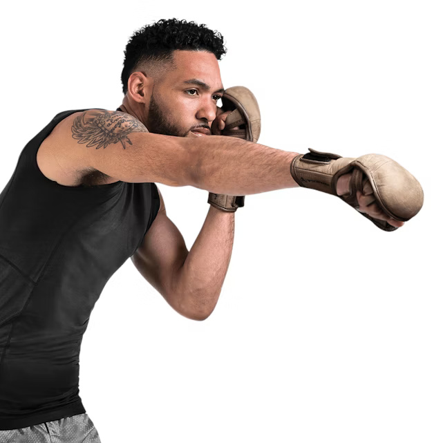 Hayabusa MMA Handschuhe Sparring T3 LX, Vintage