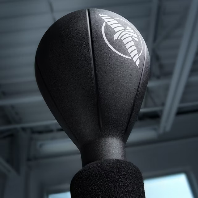 Hayabusa Standboxbirne Cobra, Schwarz