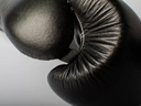 Paffen Sport Boxhandschuhe Kibo Fight, Schwarz