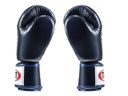 Fairtex Boxhandschuhe BGV19, Blau