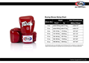 Fairtex Boxhandschuhe ONE X ONE Championship, Schwarz
