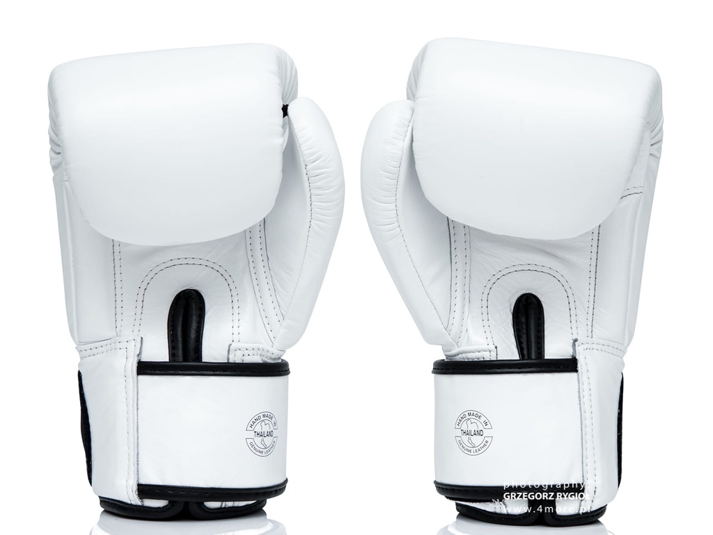Fairtex Boxhandschuhe ONE X ONE Championship, Weiß