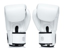 Fairtex Boxhandschuhe ONE X ONE Championship, Weiß