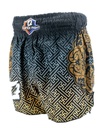 Fairtex Muay Thai Shorts Black-Gold, Schwarz-Gold
