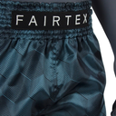 Fairtex Muay Thai Shorts BS1902, Blau