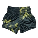 Fairtex Muay Thai Shorts BS1931, Schwarz-Gold