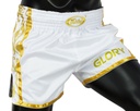 Fairtex Muay Thai Shorts Glory BSG2, Weiß-Gold