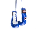 Twins Mini Boxhandschuhe, Blau