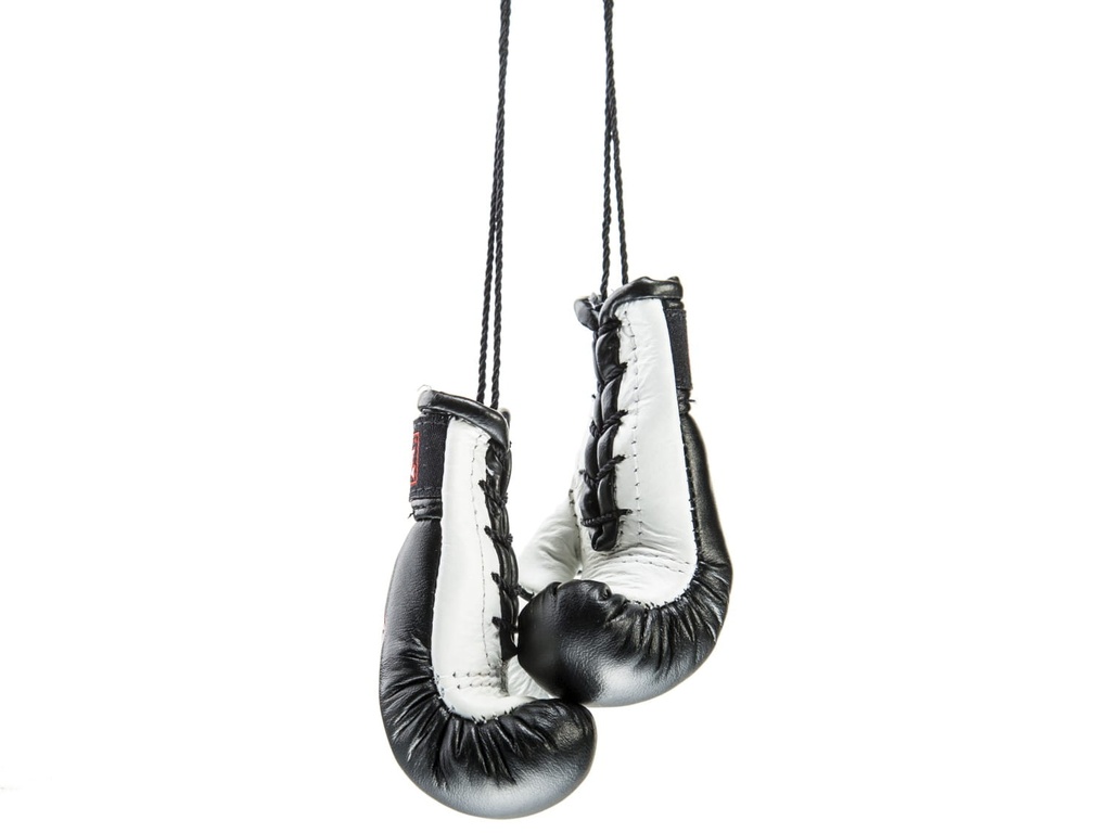 Twins Mini Boxhandschuhe, Schwarz