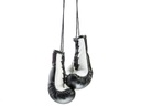 Twins Mini Boxhandschuhe, Schwarz