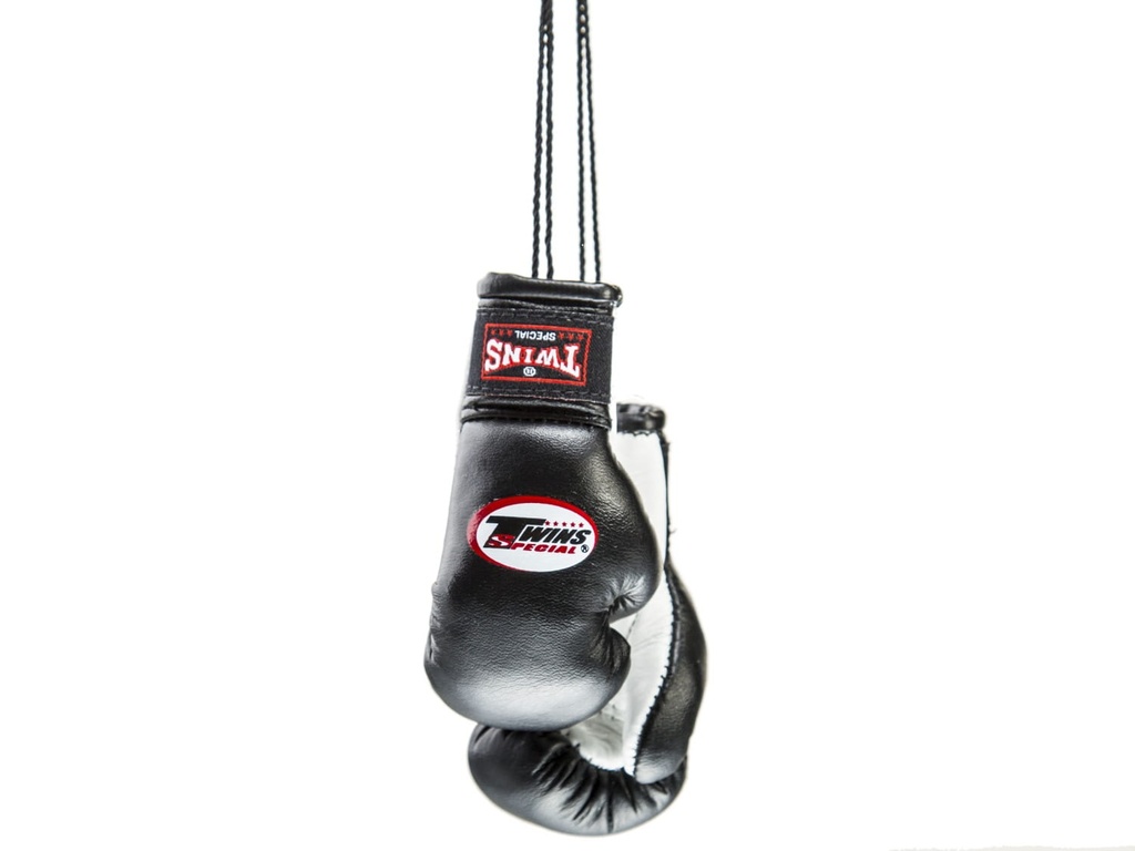 Twins Mini Boxhandschuhe, Schwarz