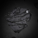 Phantom Fight Shorts Fusion 2in1 Camo Tiger, Schwarz-Grau