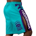 Hayabusa Fight Shorts Icon 3