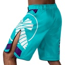 Hayabusa Fight Shorts Icon 4