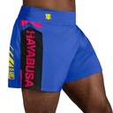 Hayabusa Kickboxing Shorts Icon 2