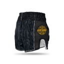 Booster Muay Thai Shorts Slugger Wave, Schwarz-Gold