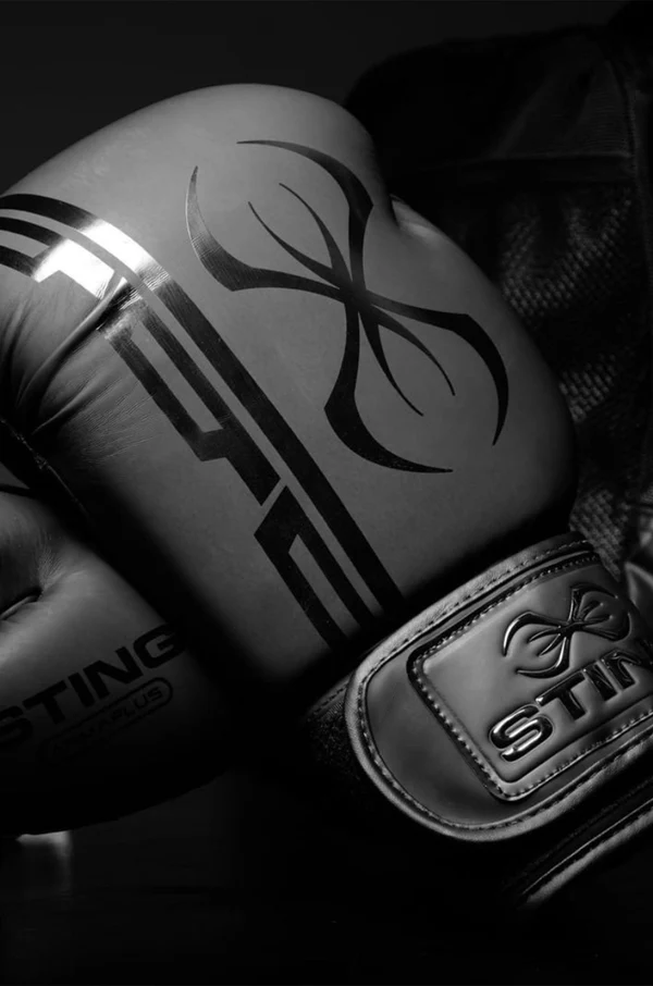 Sting Boxhandschuhe Armaplus, Schwarz