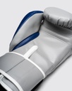 Fly Boxhandschuhe Superloop Pro X 2, Grau-Blau 7