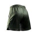 Hayabusa Fight Shorts Apex Long, Grün 2