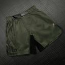 Hayabusa Fight Shorts Apex Long, Grün 3