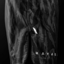 Hayabusa Fight Shorts Apex Long, Schwarz 6