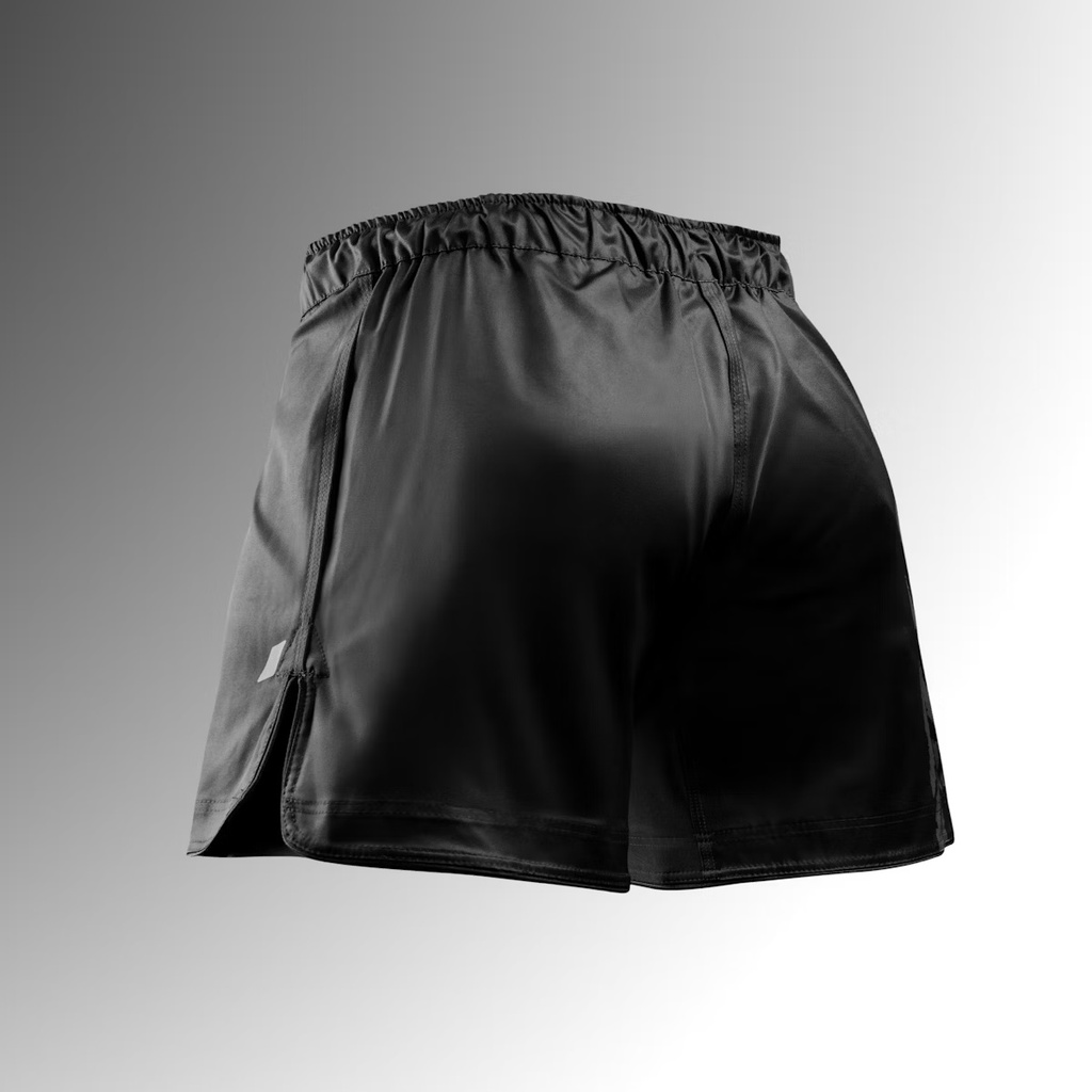 Hayabusa Fight Shorts Apex Mid, Schwarz 2