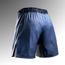 Hayabusa Fight Shorts Core Long, Blau 2