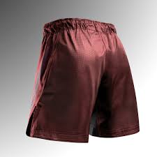 Hayabusa Fight Shorts Core Long, Rot 2
