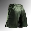 Hayabusa Fight Shorts Core Long, Grün 2