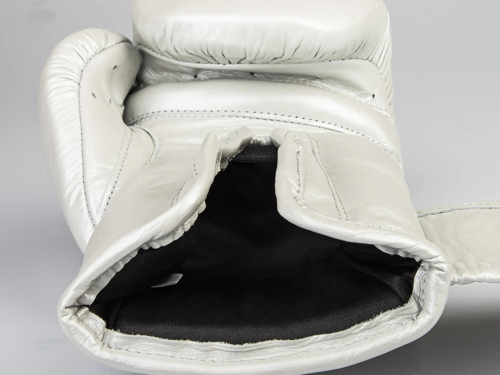 Paffen Sport Boxhandschuhe Pro Klett X, Silber 5