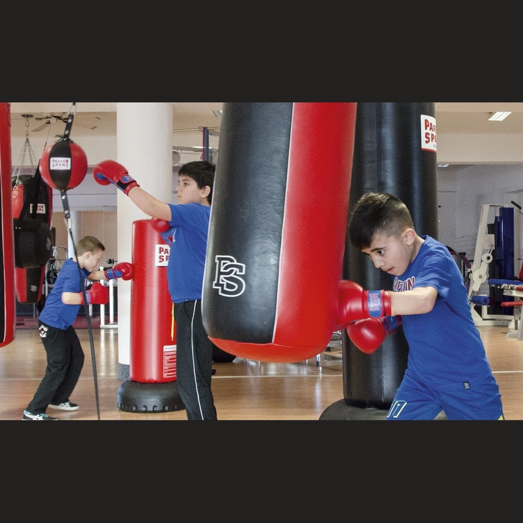 Paffen Sport Boxhandschuhe Kids 2