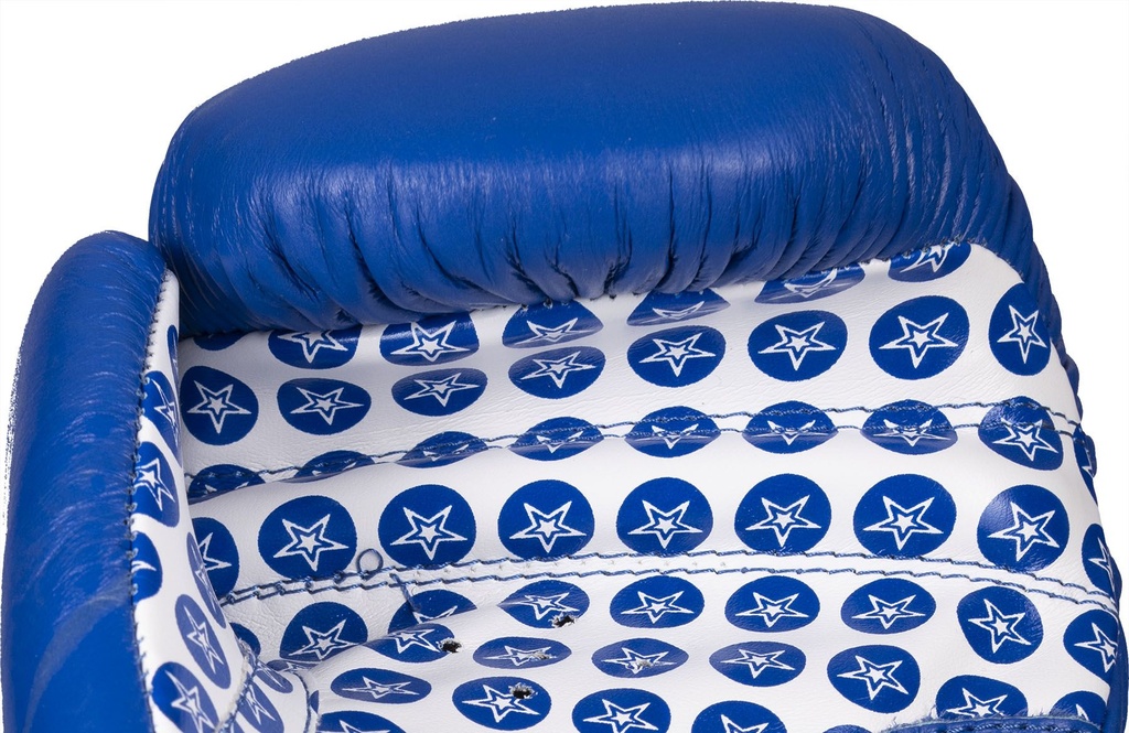 Top Ten Boxhandschuhe Fight, Blau