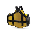 Everlast Body Protector Coach, Schwarz