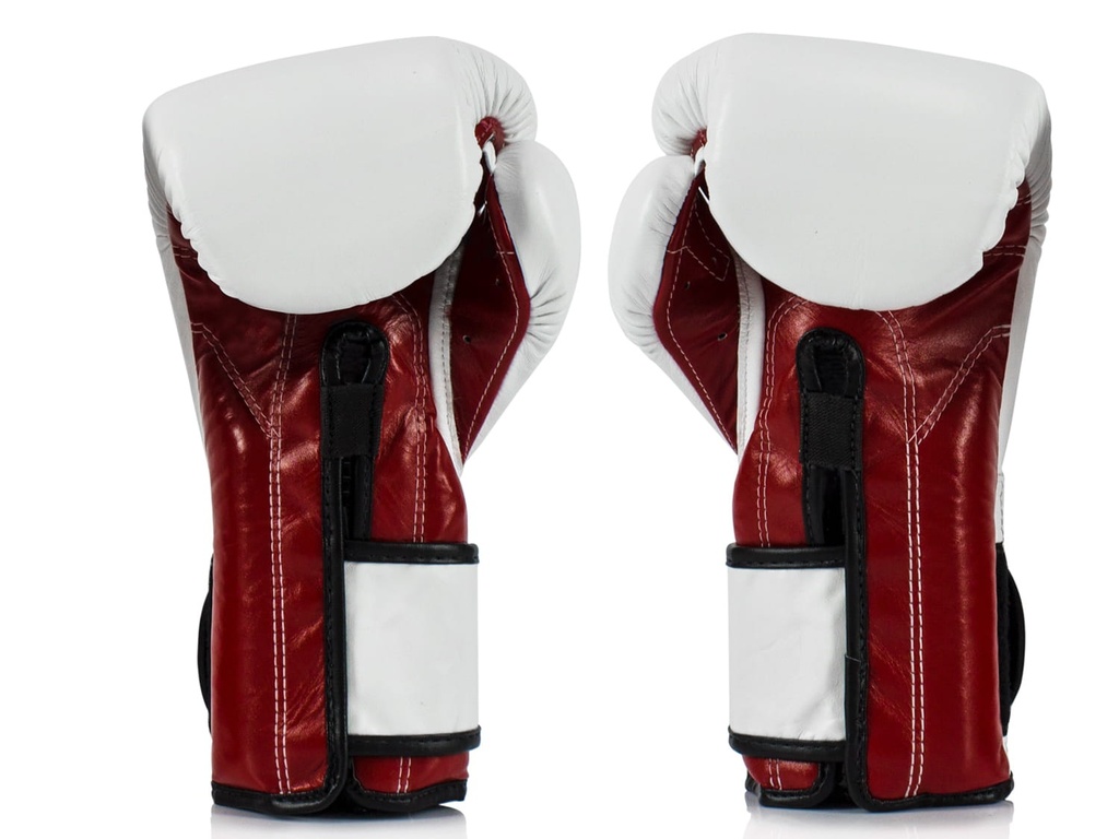 Fairtex Boxhandschuhe BGV9 back