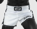 Fairtex Muay Thai Shorts Glory BSG3 front